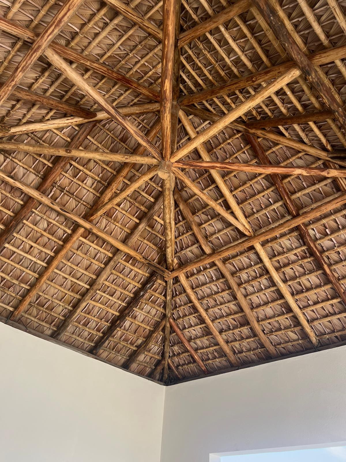 “Frisse, nieuwe ideeën” – Y.VDB.